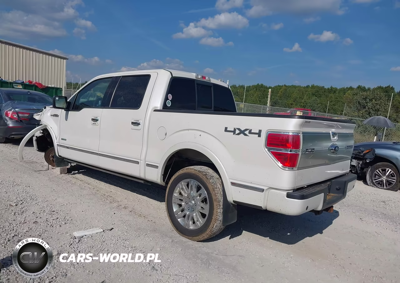 2014 Ford F-150 Platinum VIN:1FTFW1ET9EFA81456 - 3