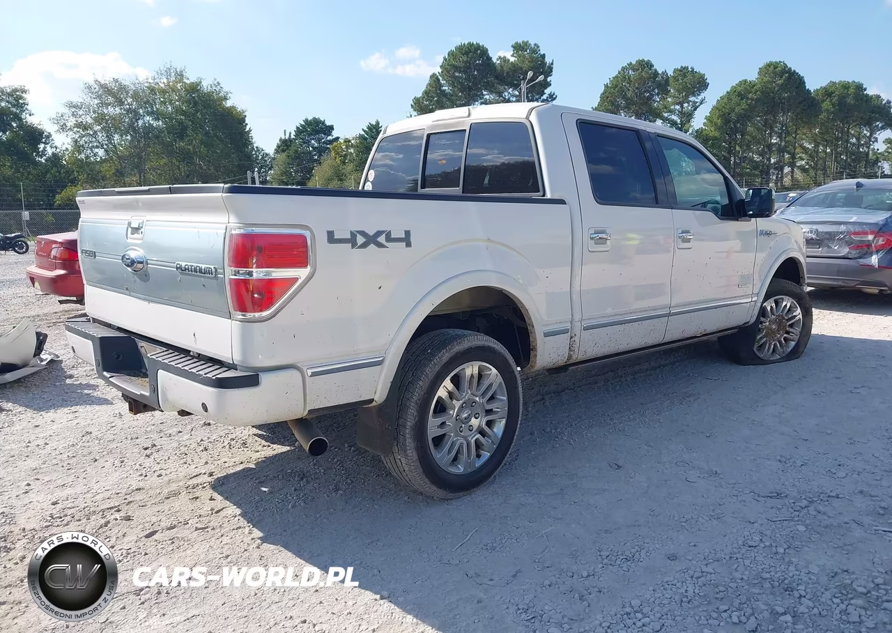 2014 Ford F-150 Platinum VIN:1FTFW1ET9EFA81456 - 4
