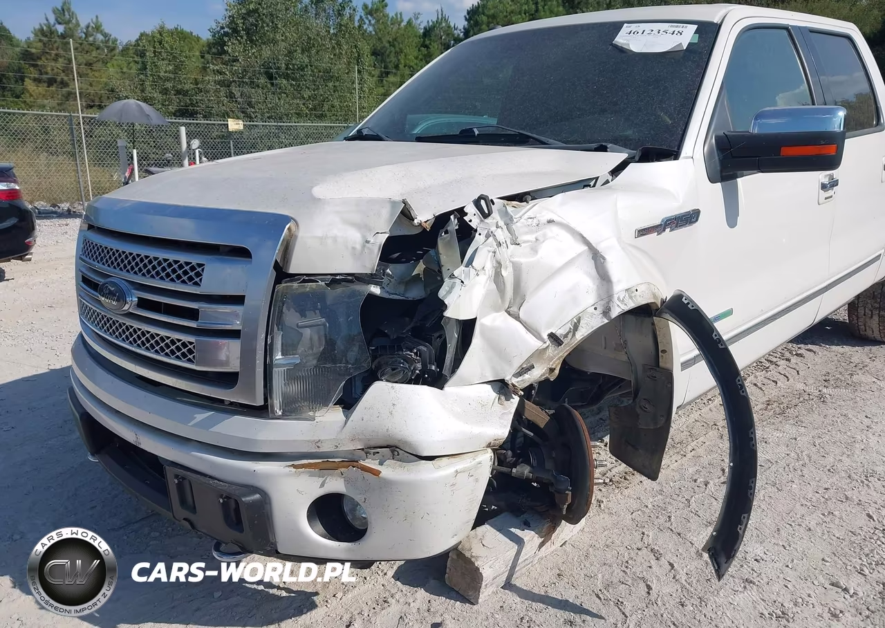 2014 Ford F-150 Platinum VIN:1FTFW1ET9EFA81456 - 6