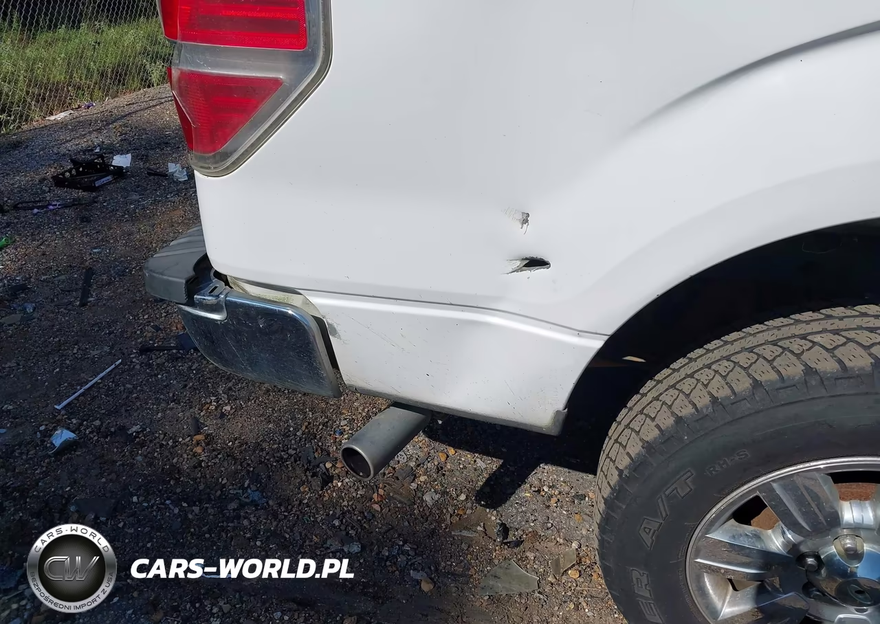 2010 Ford F-150 Fx2 Sport-Stx-Xl-Xlt VIN:1FTEX1C81AKB44901 - 12