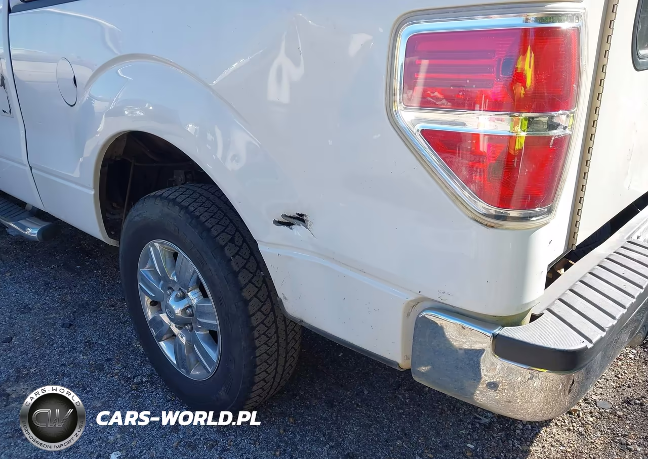 2010 Ford F-150 Fx2 Sport-Stx-Xl-Xlt VIN:1FTEX1C81AKB44901 - 13