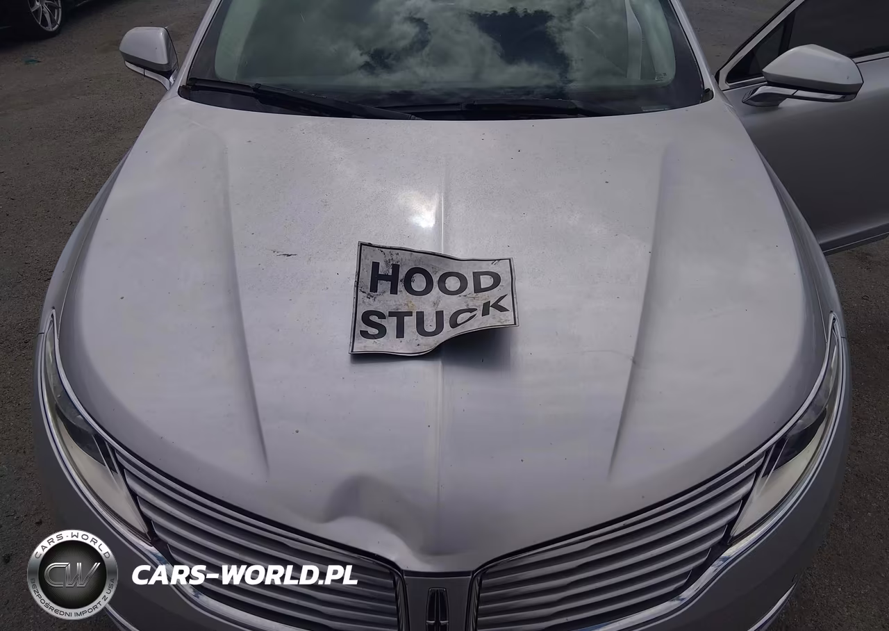 2013 Lincoln Mkz VIN:3LN6L2GKXDR823072 - 10