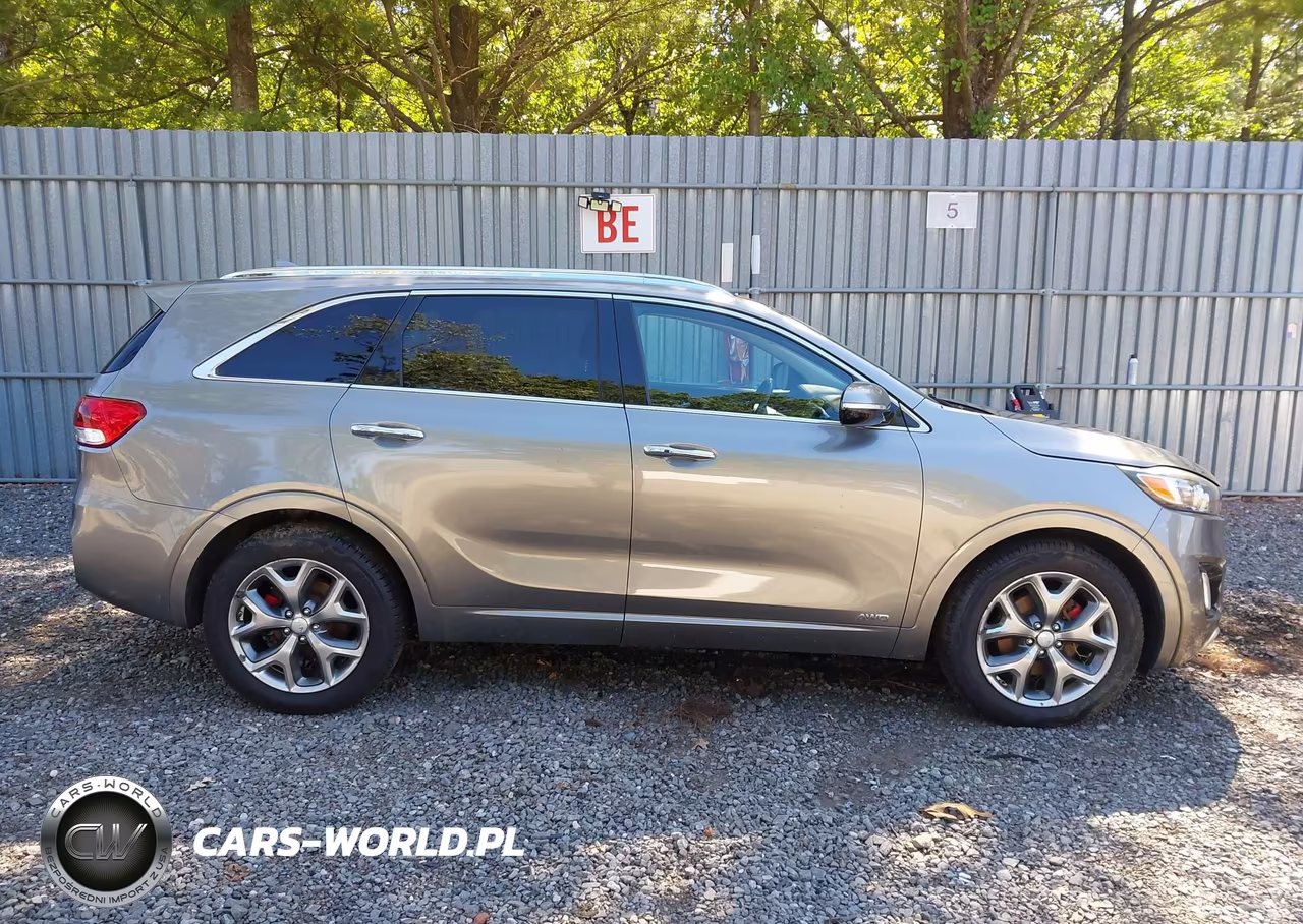 2018 Kia Sorento 3.3L Sx VIN:5XYPKDA51JG363980 - 13