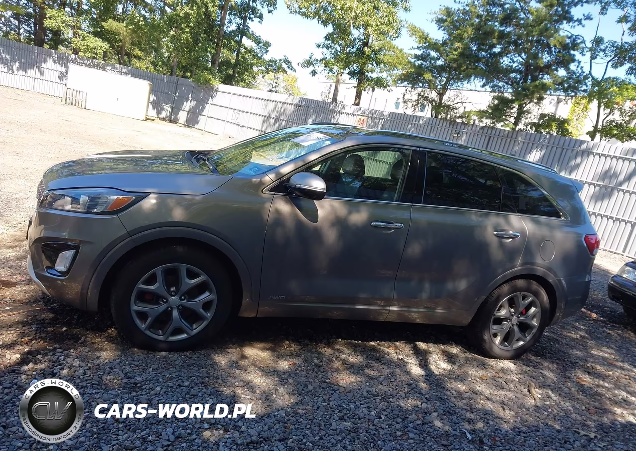 2018 Kia Sorento 3.3L Sx VIN:5XYPKDA51JG363980 - 14