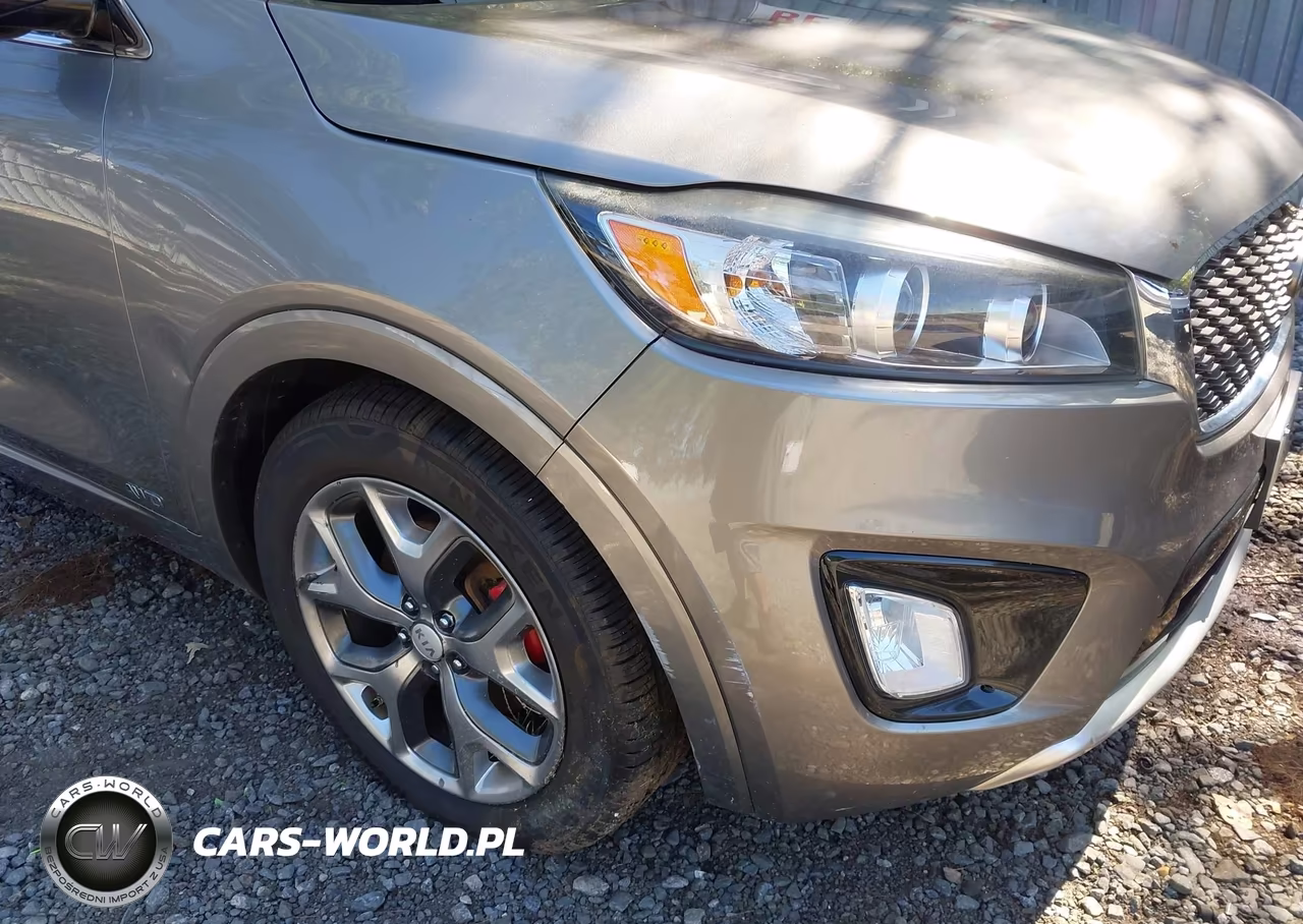 2018 Kia Sorento 3.3L Sx VIN:5XYPKDA51JG363980 - 6