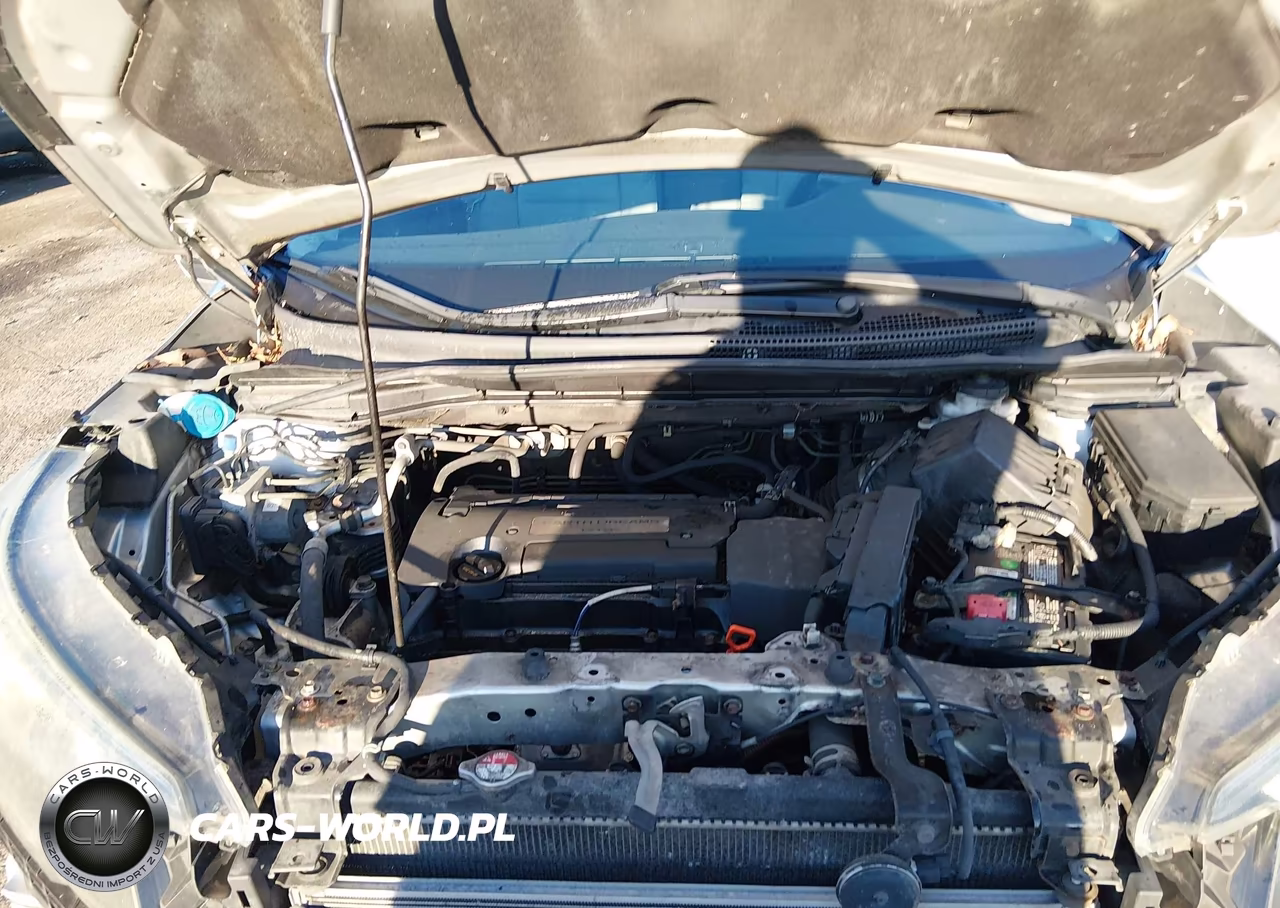2015 Honda Cr-V Lx VIN:5J6RM4H3XFL048009 - 10