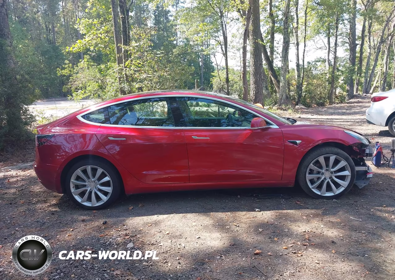 2019 Tesla Model 3 Long Range-Mid Range-Standard Range-Standard Range Plus VIN:5YJ3E1EA2KF230567 - 12