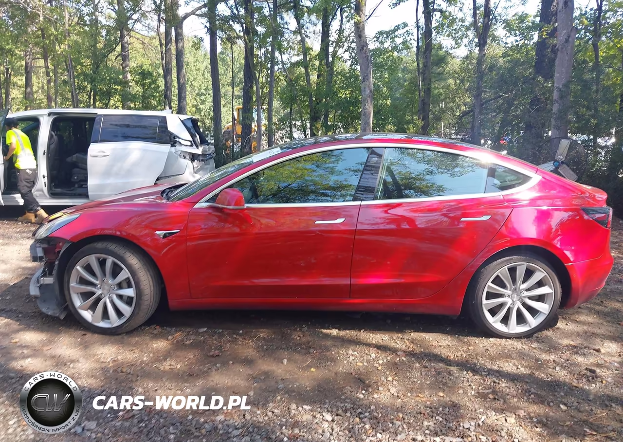 2019 Tesla Model 3 Long Range-Mid Range-Standard Range-Standard Range Plus VIN:5YJ3E1EA2KF230567 - 13
