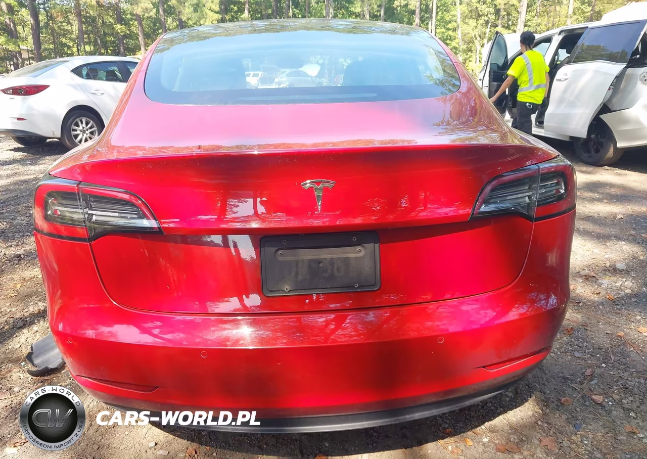 2019 Tesla Model 3 Long Range-Mid Range-Standard Range-Standard Range Plus VIN:5YJ3E1EA2KF230567 - 15