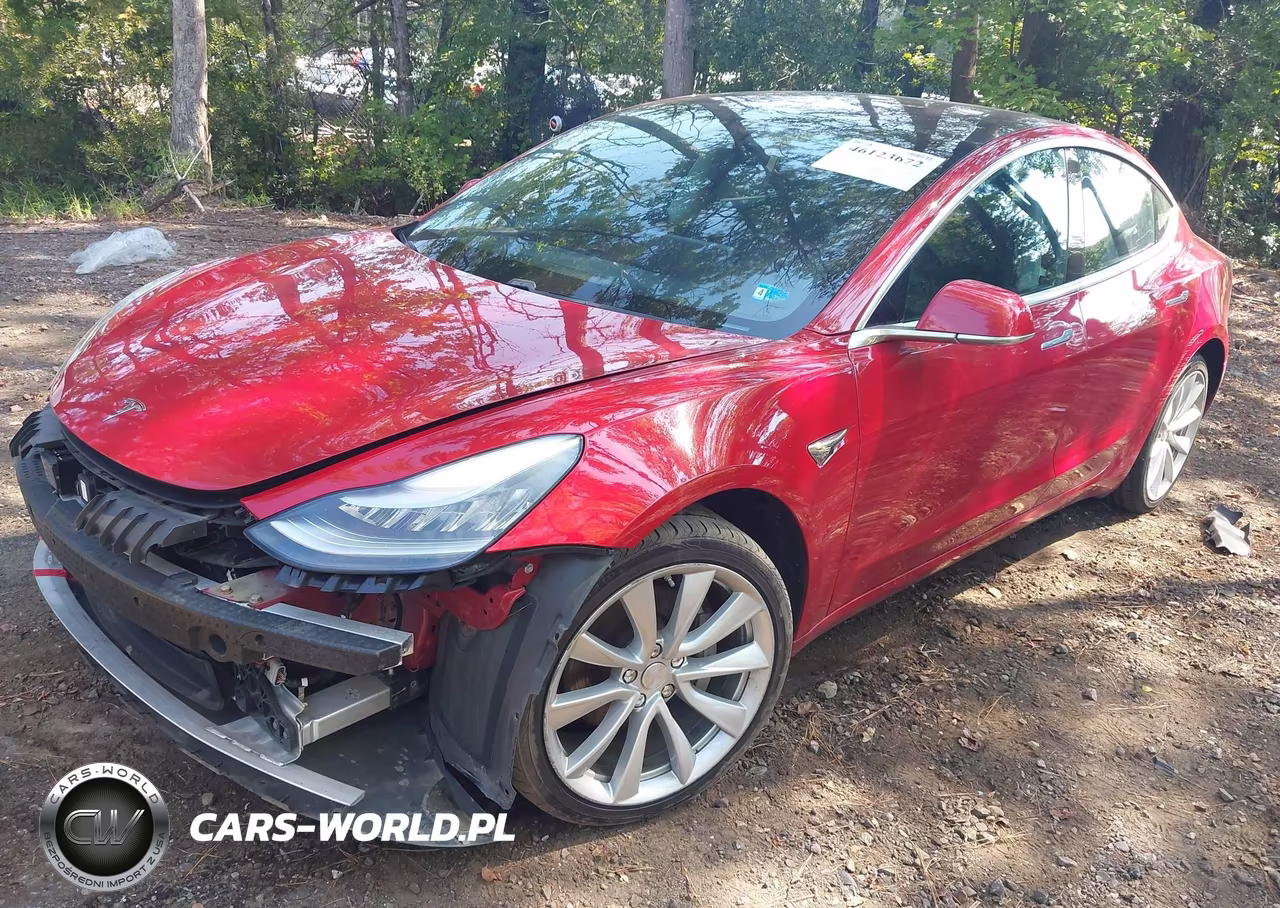 2019 Tesla Model 3 Long Range-Mid Range-Standard Range-Standard Range Plus VIN:5YJ3E1EA2KF230567 - 2