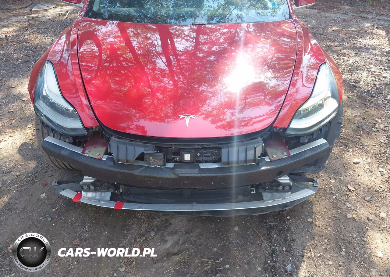 2019 Tesla Model 3 Long Range-Mid Range-Standard Range-Standard Range Plus VIN:5YJ3E1EA2KF230567 - 6