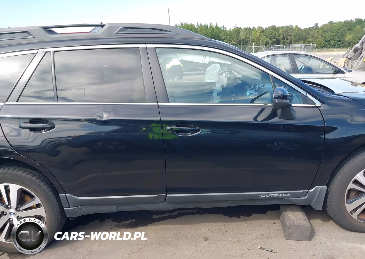 2019 Subaru Outback 2.5I Limited VIN:4S4BSANC5K3390229 - 13