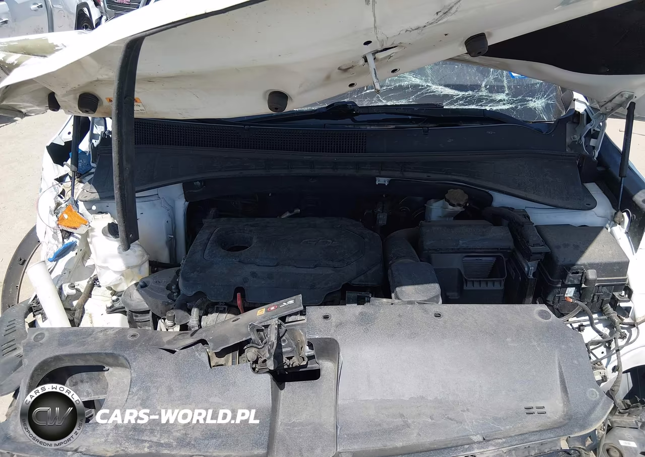 2020 Kia Sorento 2.4L L VIN:5XYPG4A36LG662030 - 10