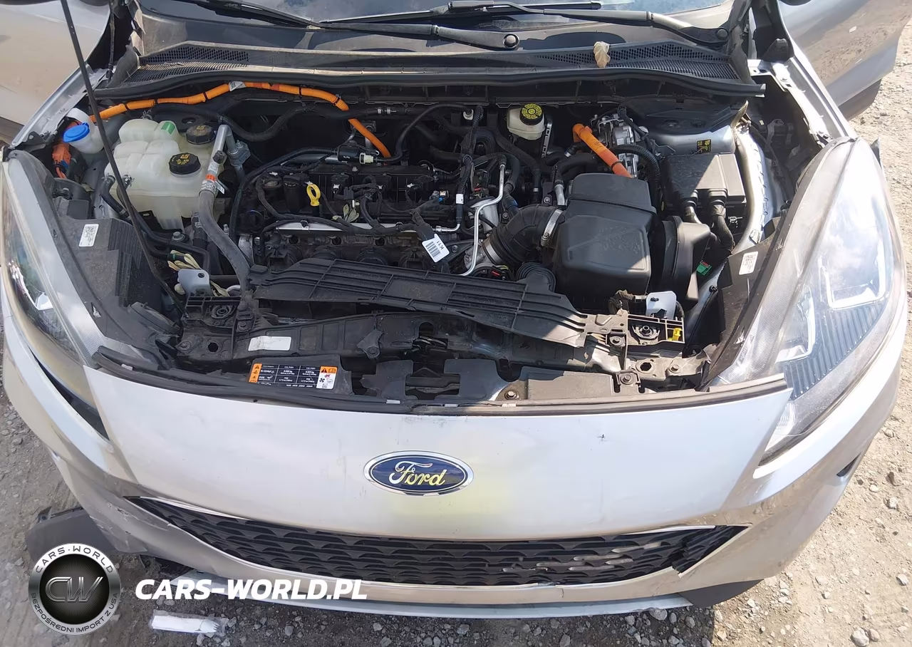 2021 Ford Escape Se Hybrid VIN:1FMCU9BZ1MUA61823 - 10