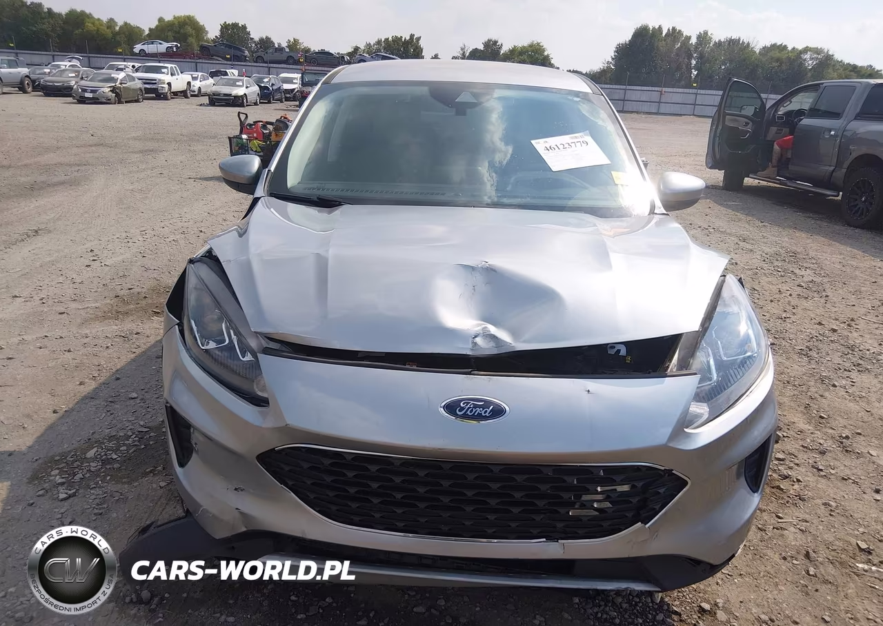 2021 Ford Escape Se Hybrid VIN:1FMCU9BZ1MUA61823 - 12