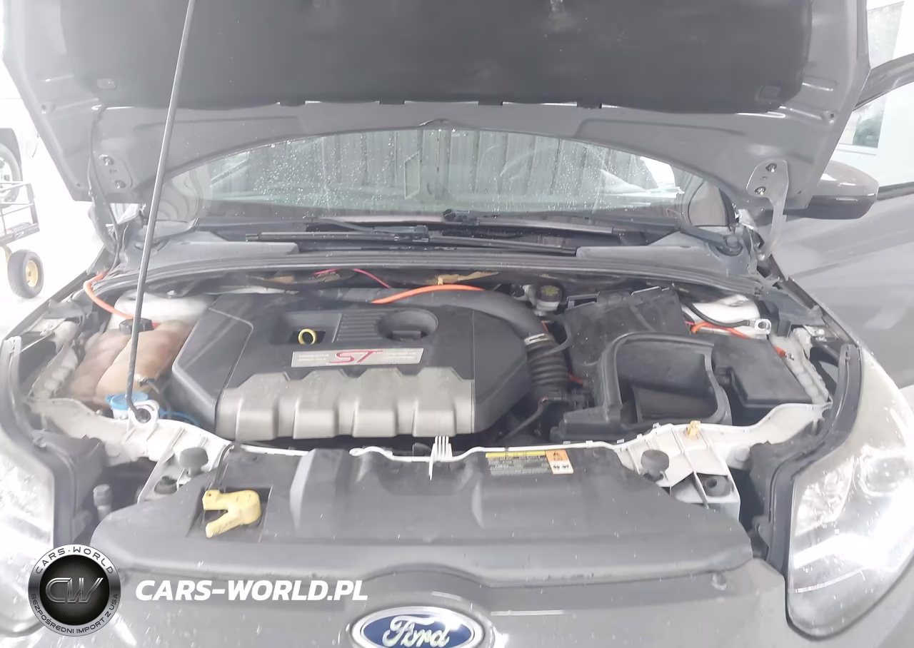 2014 Ford Focus St VIN:1FADP3L95EL256185 - 10