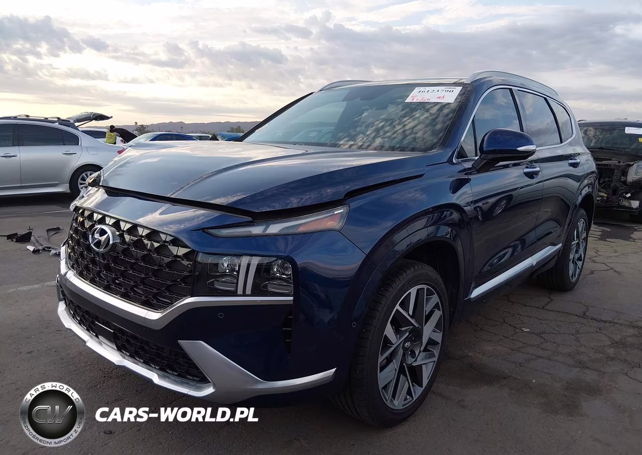2022 Hyundai Santa Fe Calligraphy VIN:5NMS5DALXNH439093 - 2