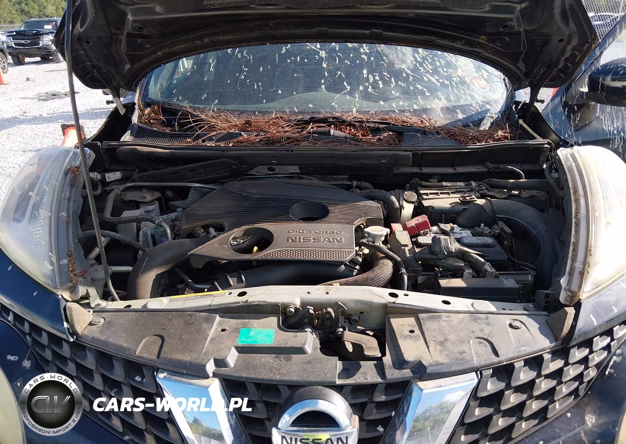 2015 Nissan Juke Sl VIN:JN8AF5MR9FT509346 - 10