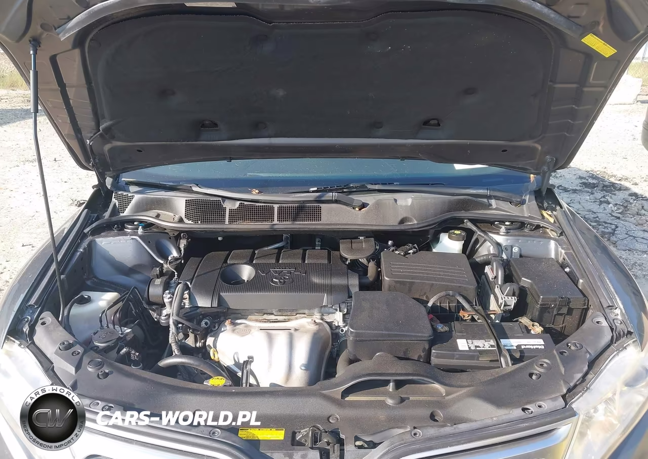 2010 Toyota Venza VIN:4T3ZA3BB7AU036379 - 10