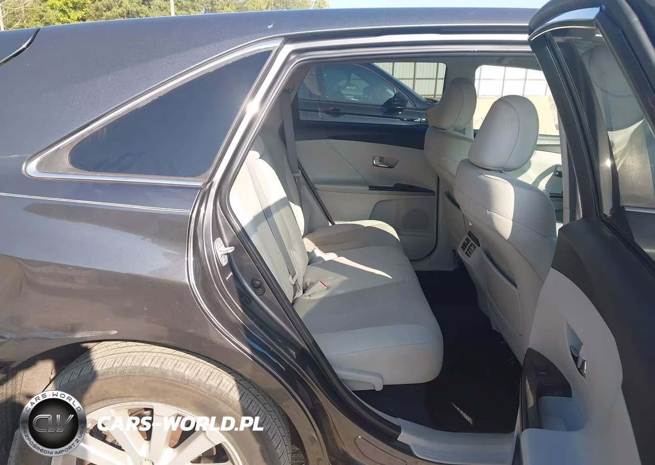 2010 Toyota Venza VIN:4T3ZA3BB7AU036379 - 8