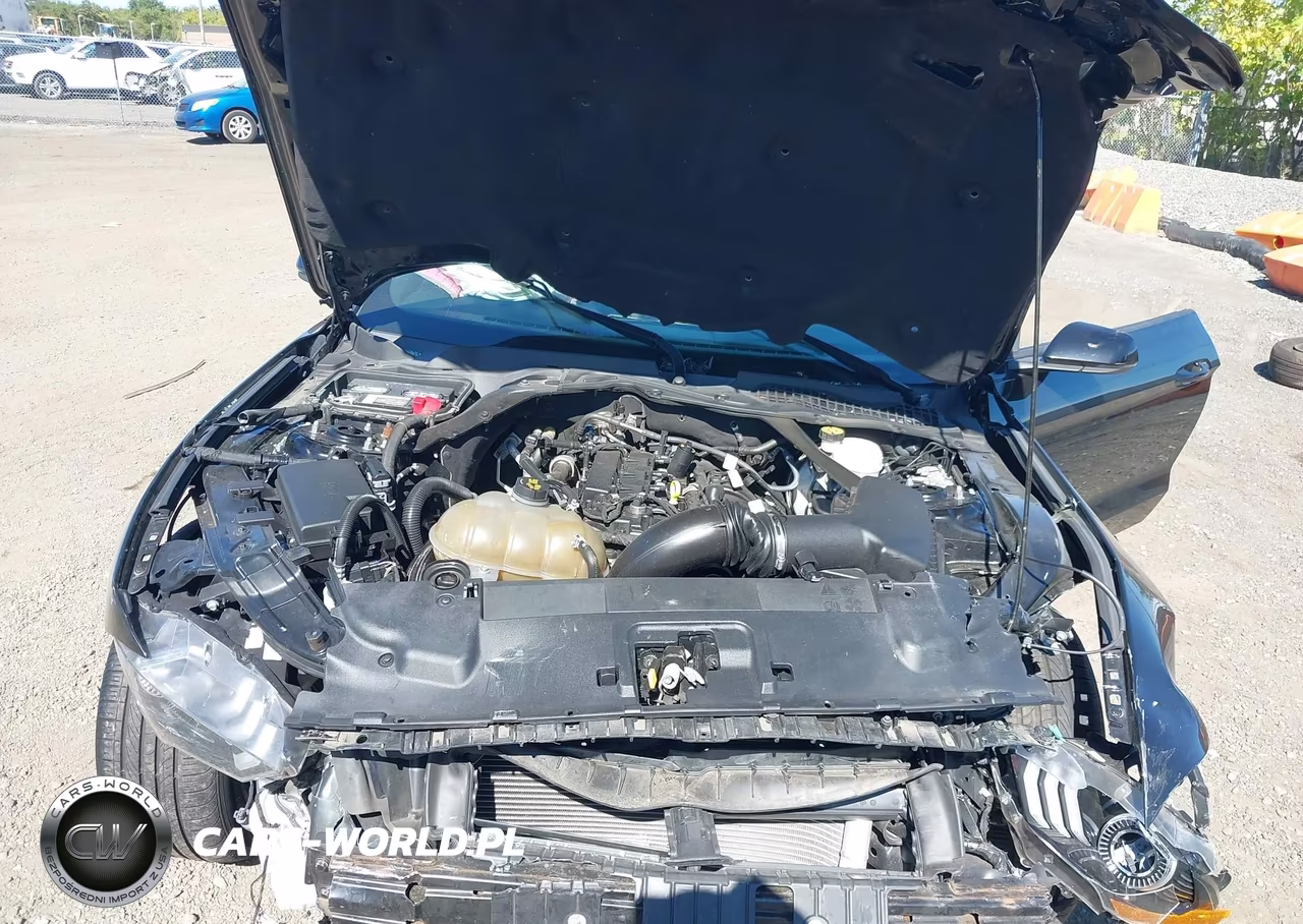 2019 Ford Mustang Ecoboost Premium VIN:1FATP8UH5K5149491 - 10