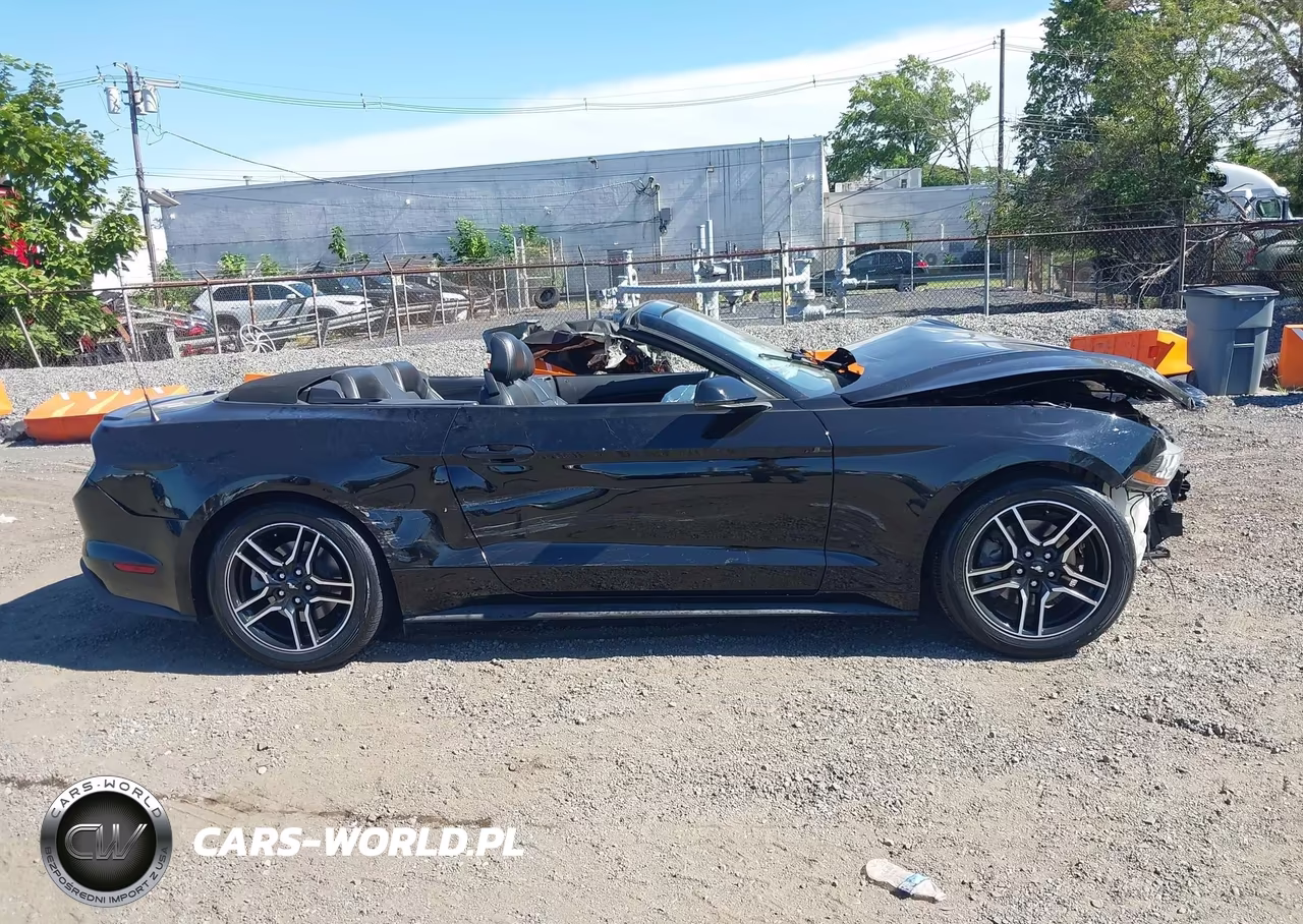 2019 Ford Mustang Ecoboost Premium VIN:1FATP8UH5K5149491 - 12