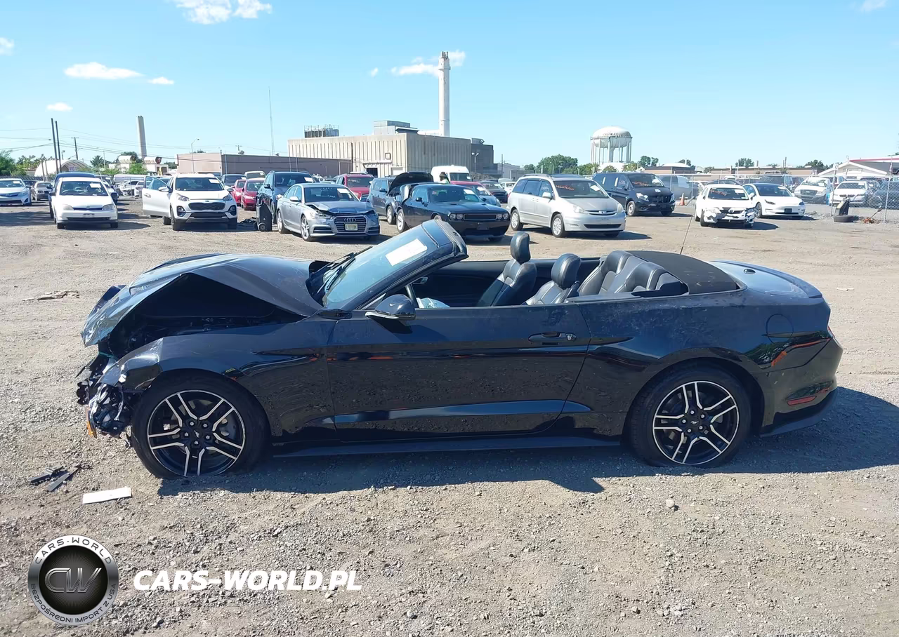 2019 Ford Mustang Ecoboost Premium VIN:1FATP8UH5K5149491 - 13
