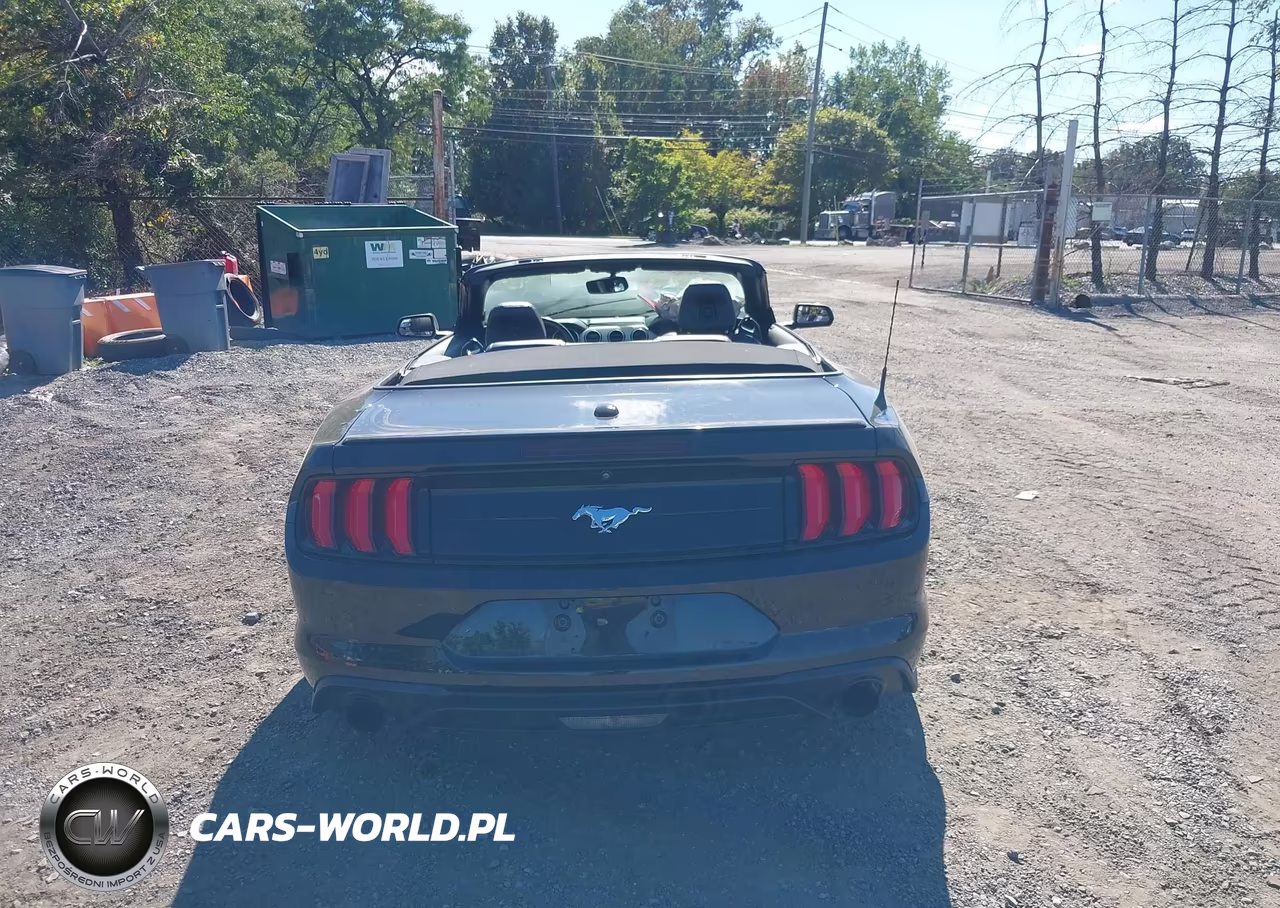 2019 Ford Mustang Ecoboost Premium VIN:1FATP8UH5K5149491 - 15
