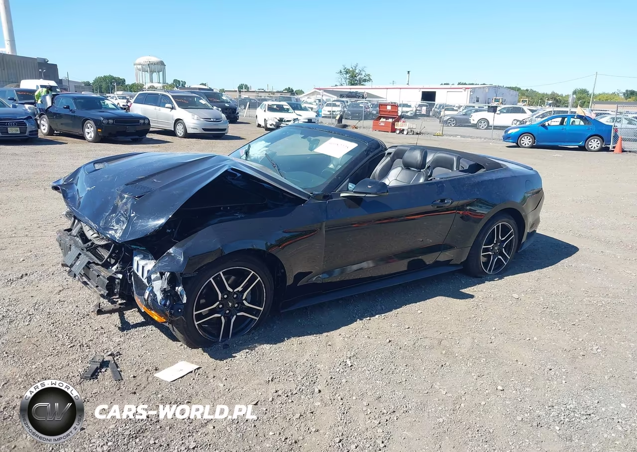 2019 Ford Mustang Ecoboost Premium VIN:1FATP8UH5K5149491 - 2