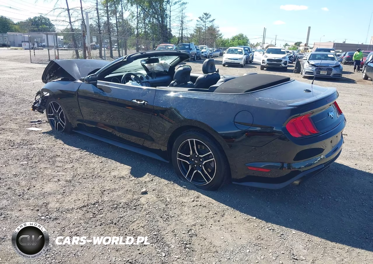 2019 Ford Mustang Ecoboost Premium VIN:1FATP8UH5K5149491 - 3