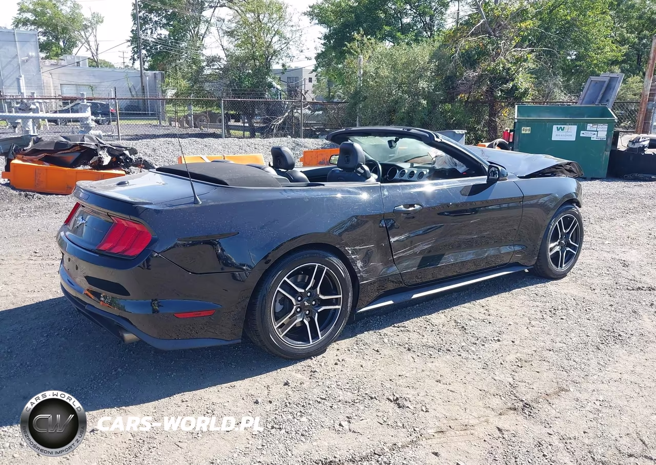 2019 Ford Mustang Ecoboost Premium VIN:1FATP8UH5K5149491 - 4