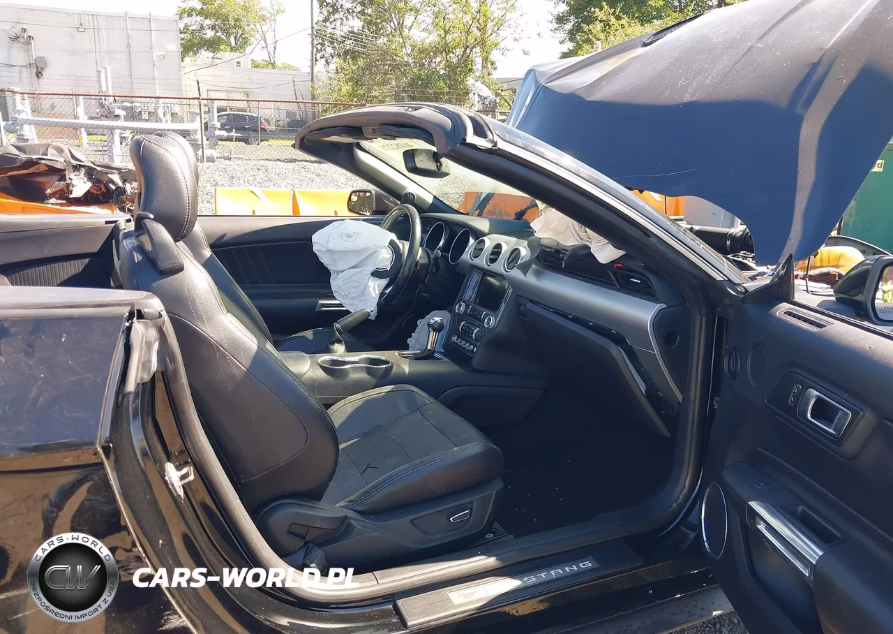 2019 Ford Mustang Ecoboost Premium VIN:1FATP8UH5K5149491 - 5