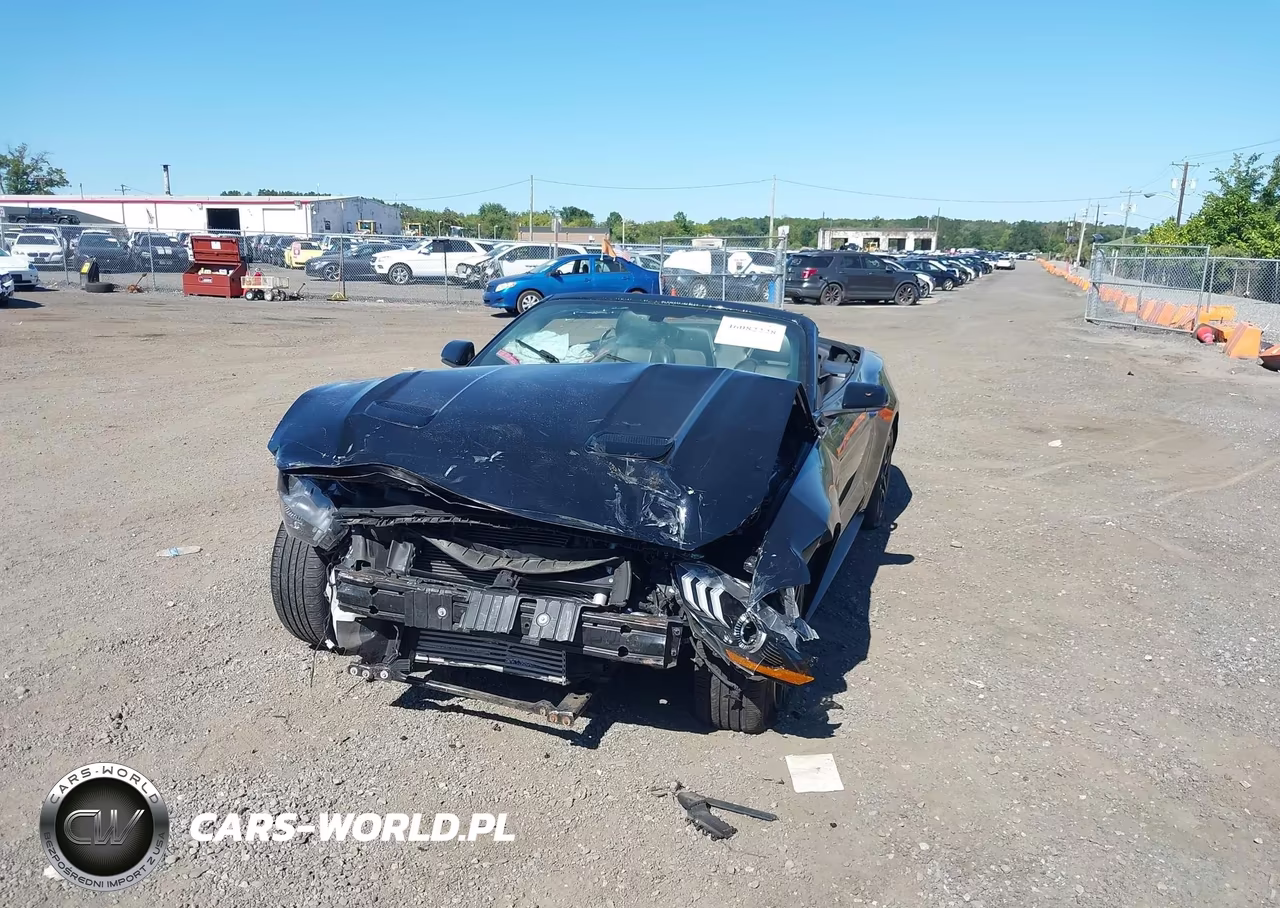2019 Ford Mustang Ecoboost Premium VIN:1FATP8UH5K5149491 - 6