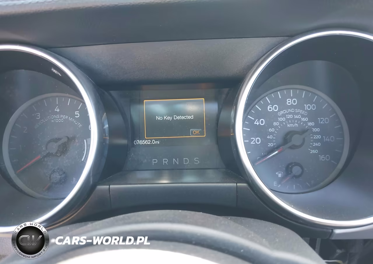 2019 Ford Mustang Ecoboost Premium VIN:1FATP8UH5K5149491 - 7