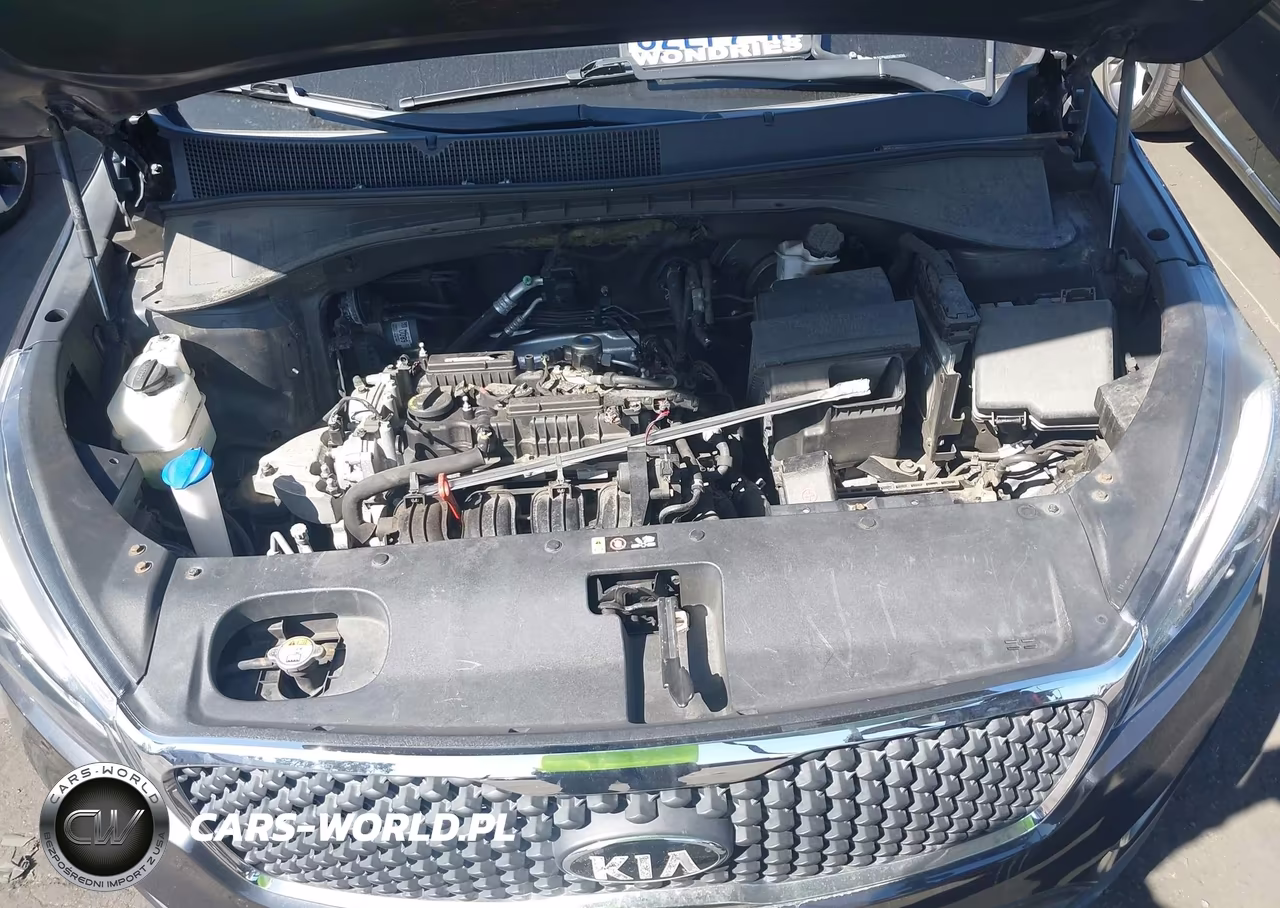 2016 Kia Sorento 2.4L Lx VIN:5XYPG4A32GG179253 - 10