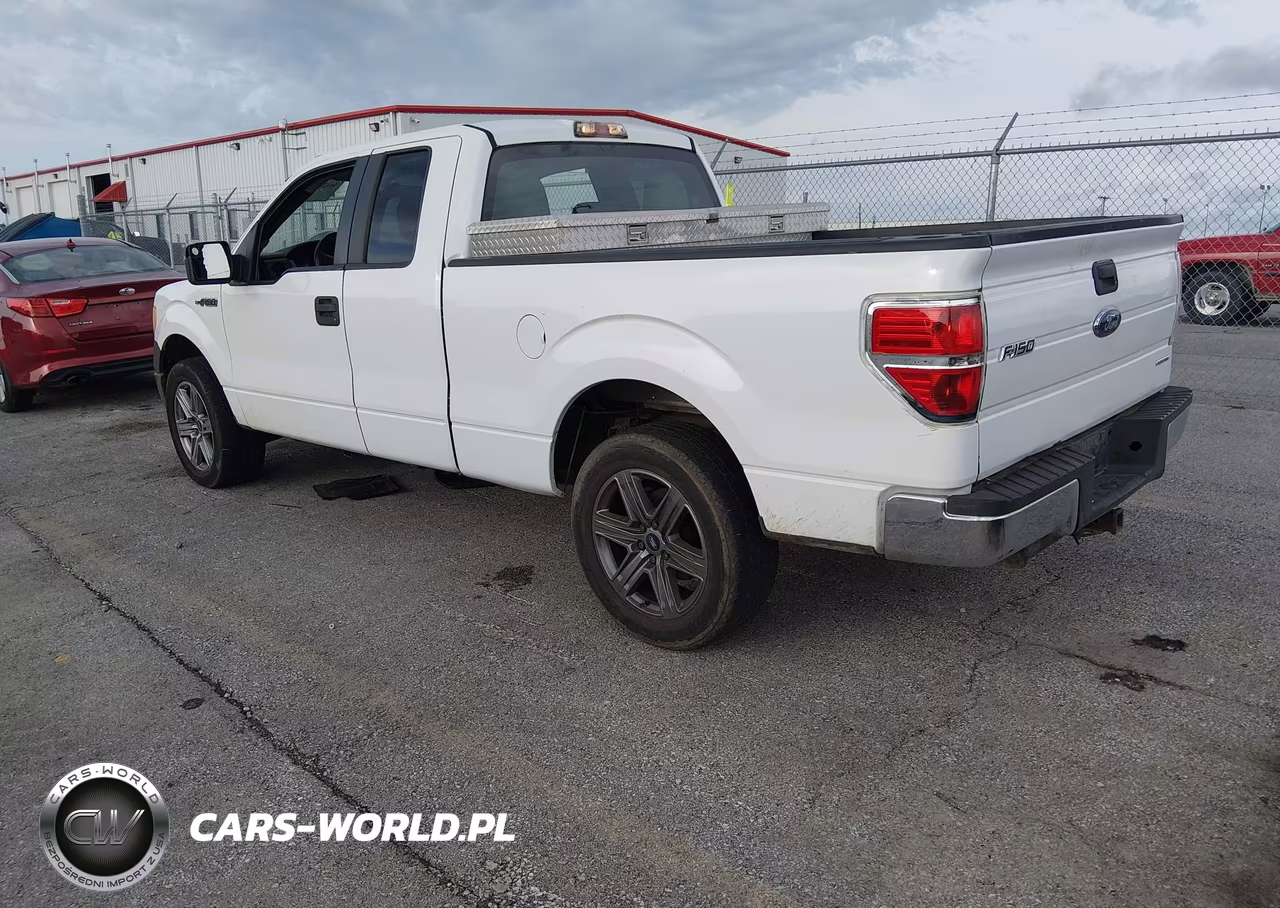 2010 Ford F-150 Stx-Xl VIN:1FTEX1CW7AFA84341 - 3