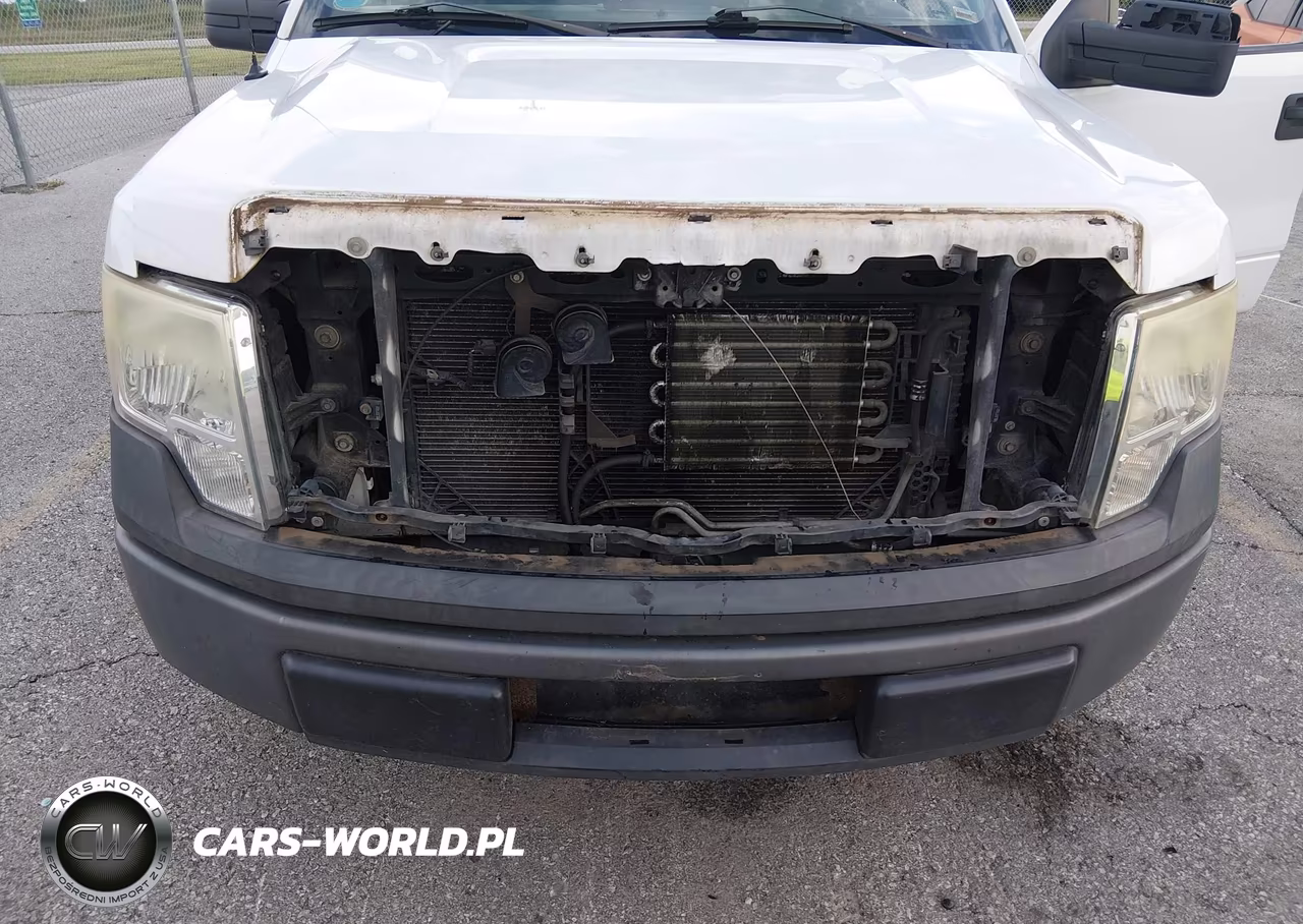 2010 Ford F-150 Stx-Xl VIN:1FTEX1CW7AFA84341 - 6