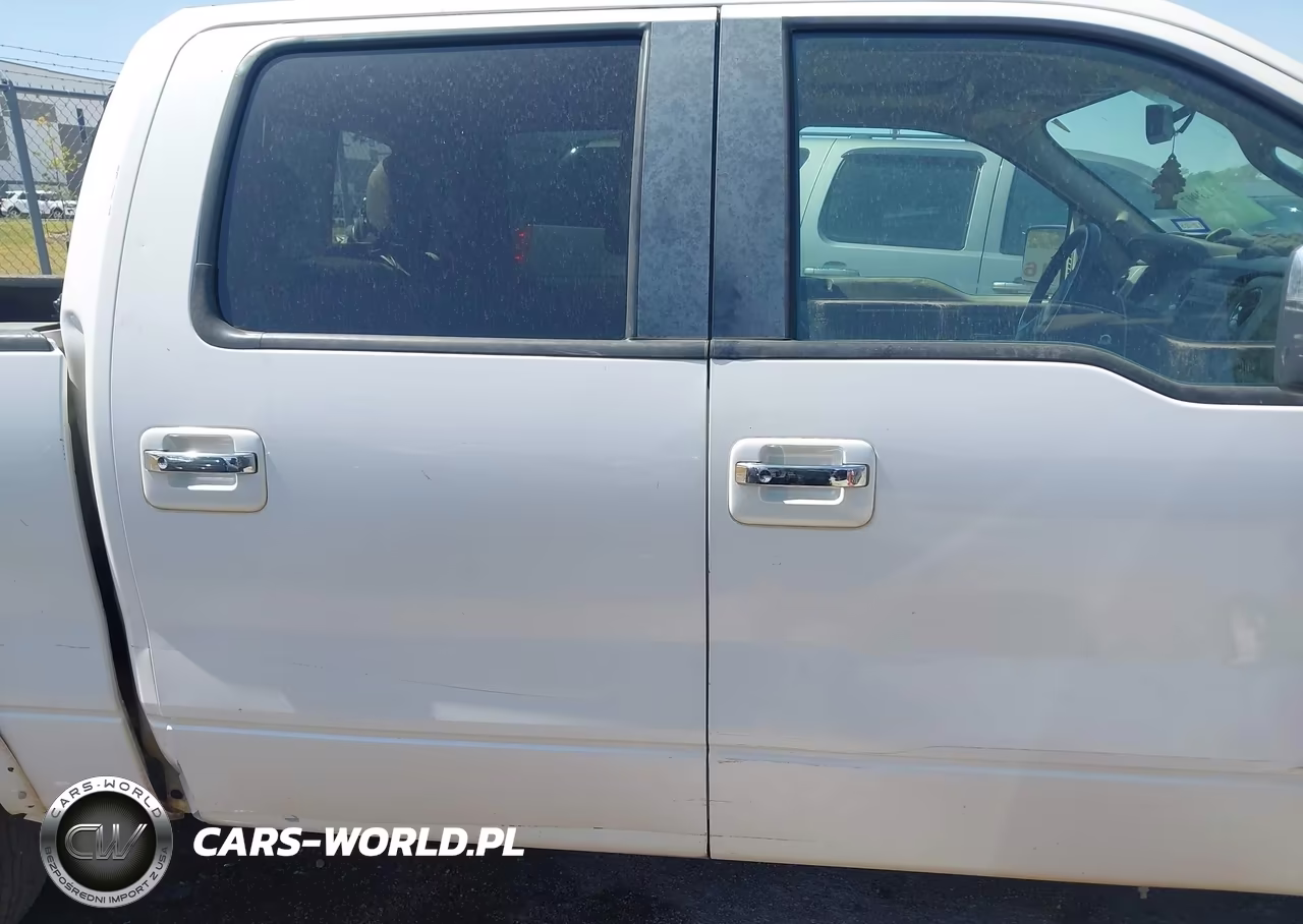 2010 Ford F-150 Platinum VIN:1FTFW1CV6AFD32805 - 13
