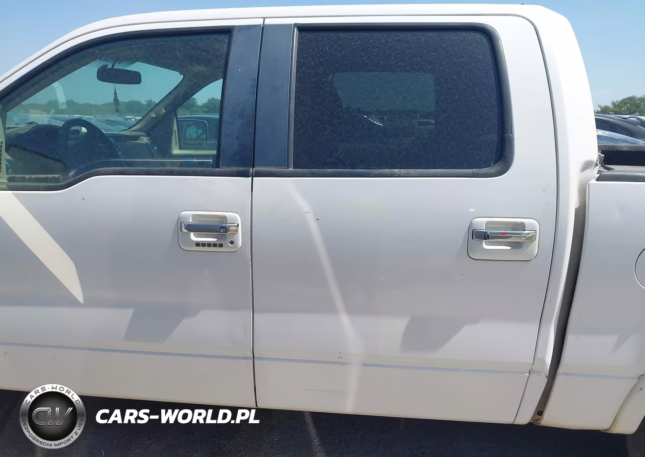 2010 Ford F-150 Platinum VIN:1FTFW1CV6AFD32805 - 14
