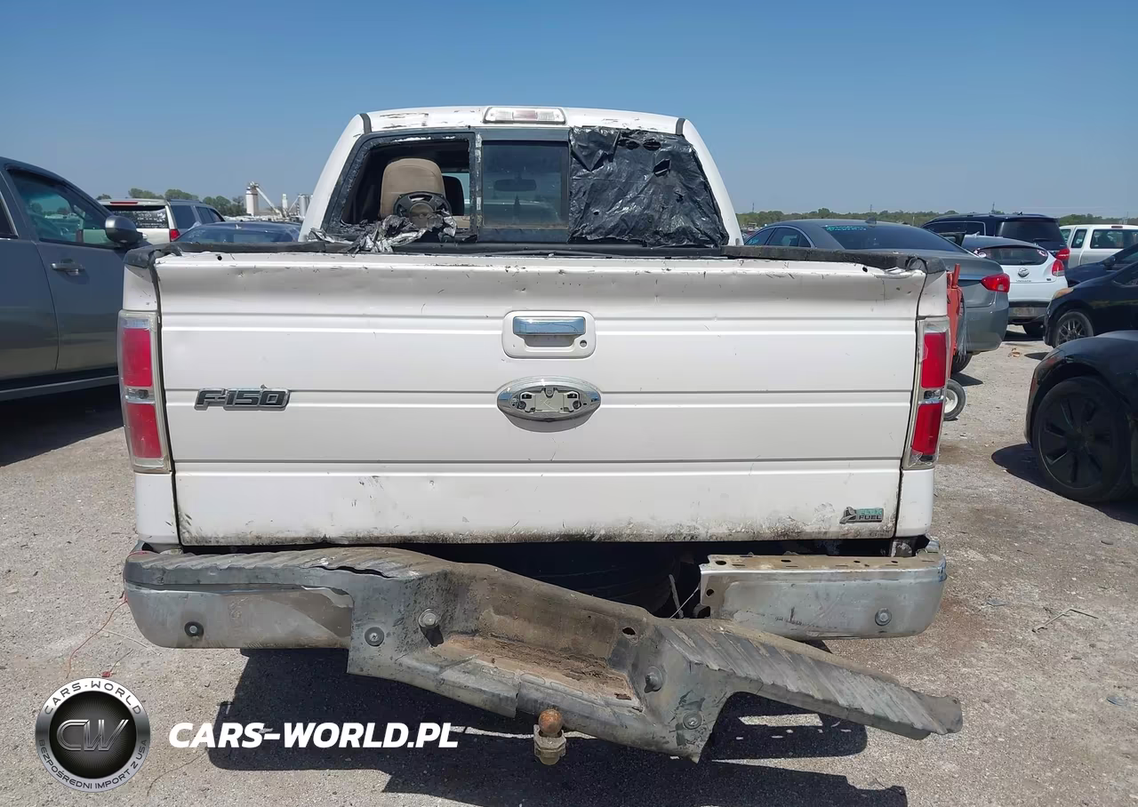 2010 Ford F-150 Platinum VIN:1FTFW1CV6AFD32805 - 16