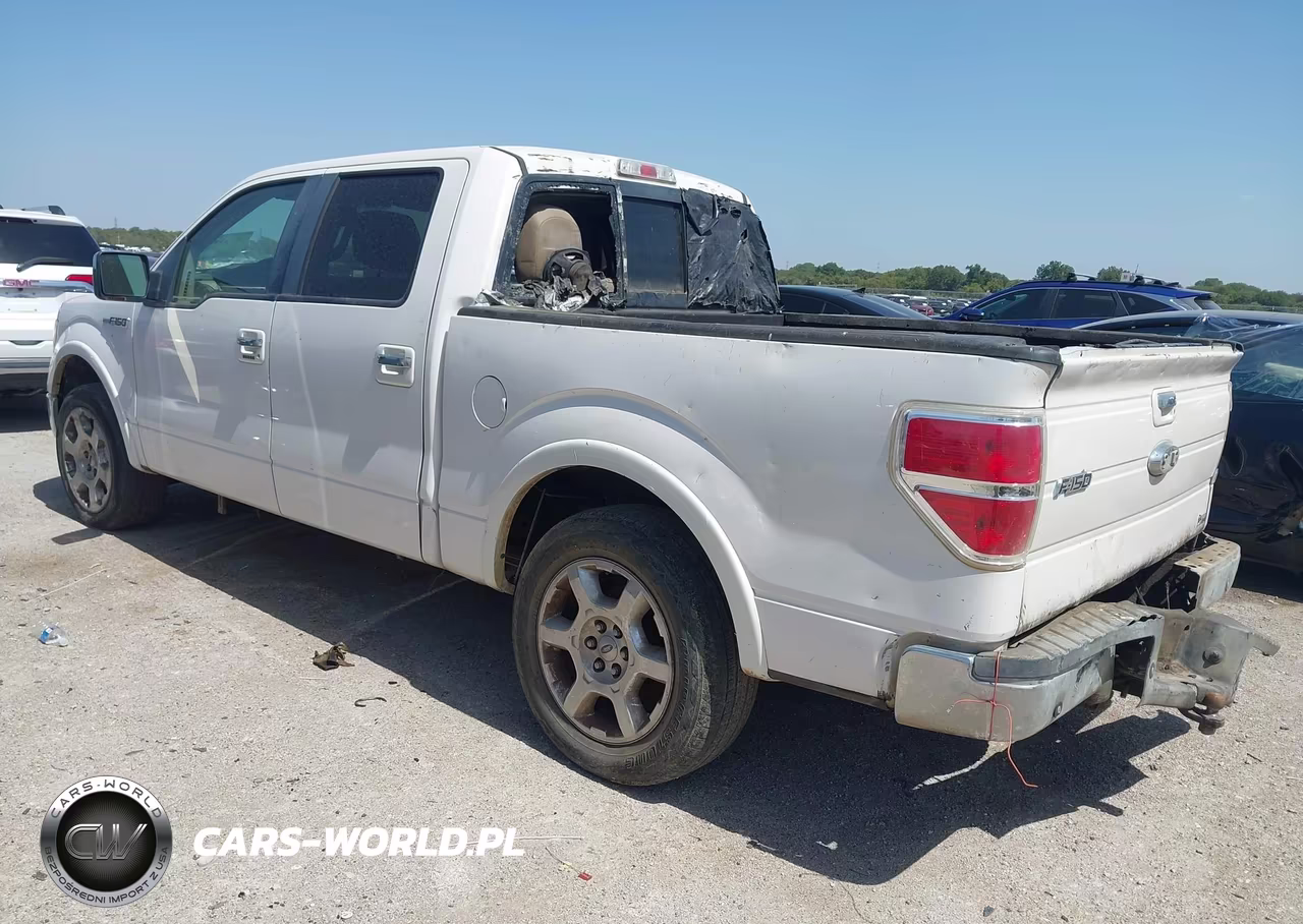 2010 Ford F-150 Platinum VIN:1FTFW1CV6AFD32805 - 3