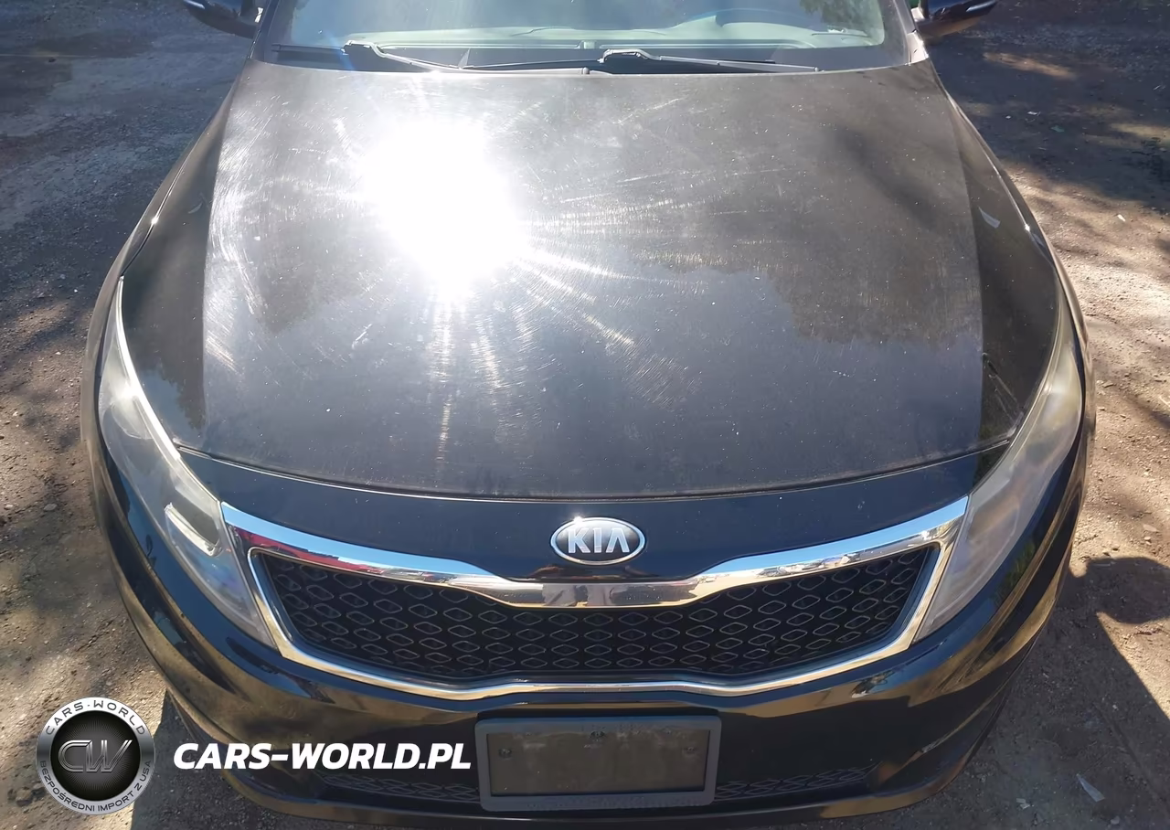 2013 Kia Optima Ex VIN:5XXGN4A71DG117111 - 6