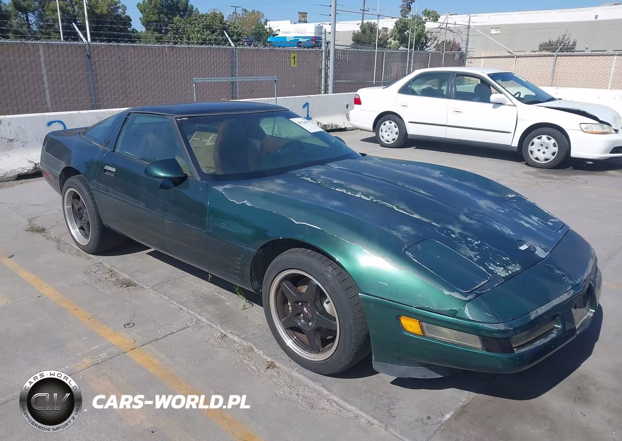 1995 Chevrolet Corvette VIN:1G1YY22P7S5103819 - 1