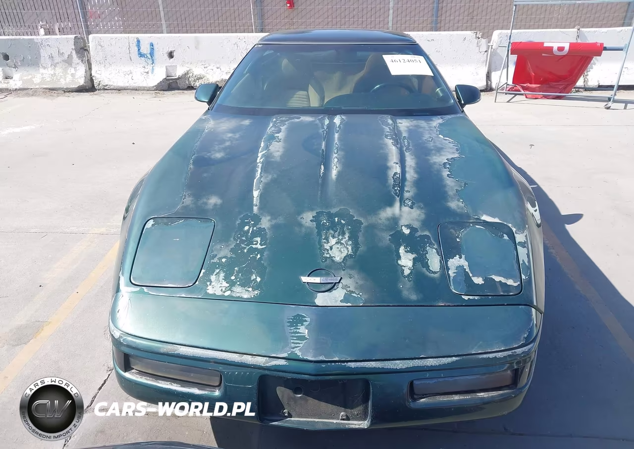 1995 Chevrolet Corvette VIN:1G1YY22P7S5103819 - 12