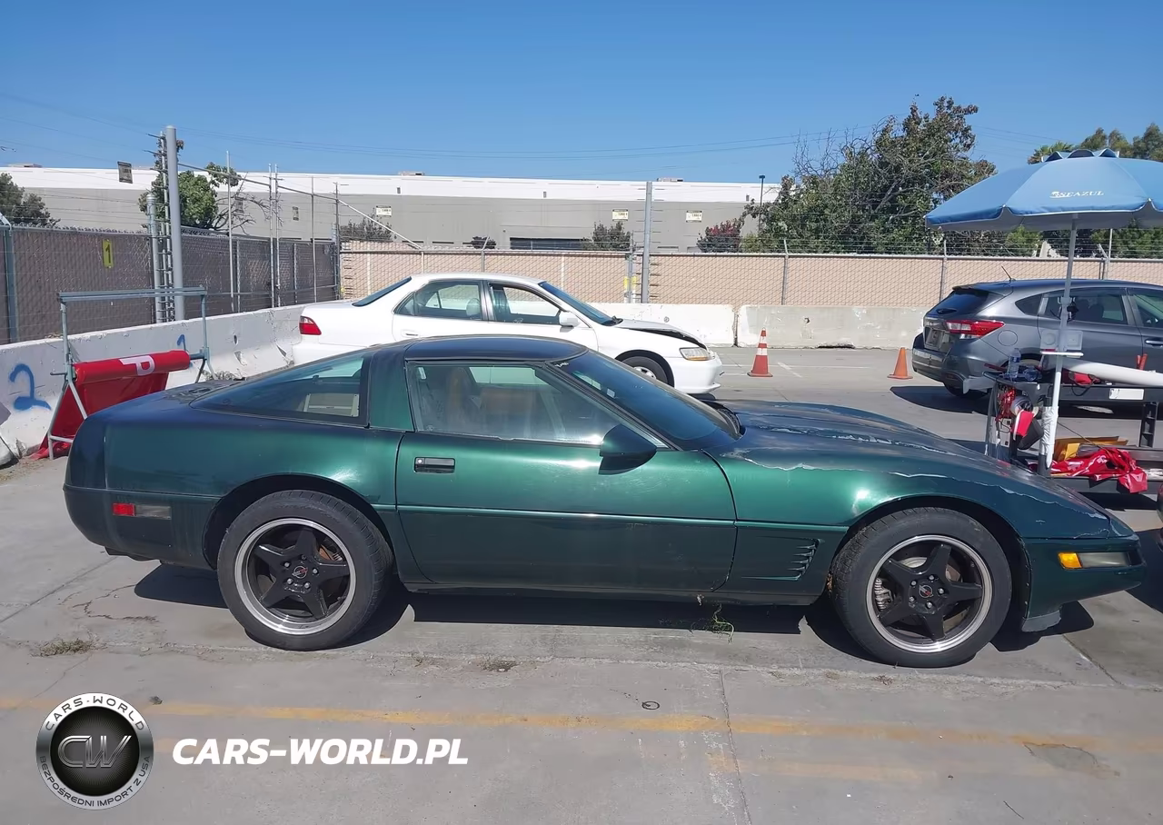 1995 Chevrolet Corvette VIN:1G1YY22P7S5103819 - 13