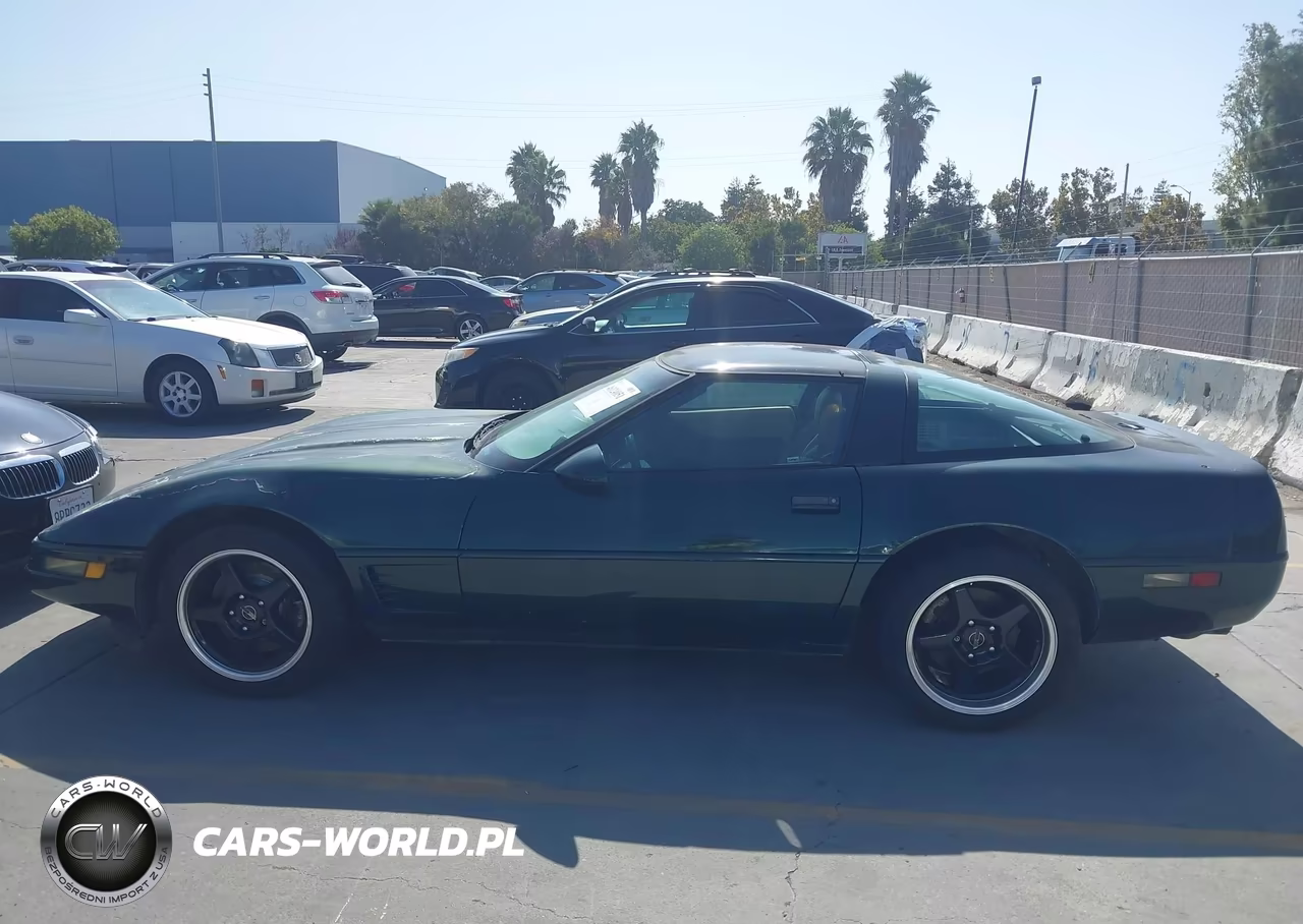 1995 Chevrolet Corvette VIN:1G1YY22P7S5103819 - 14