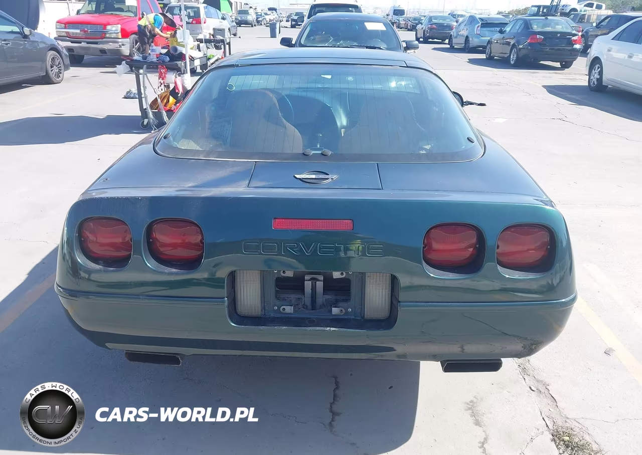 1995 Chevrolet Corvette VIN:1G1YY22P7S5103819 - 16