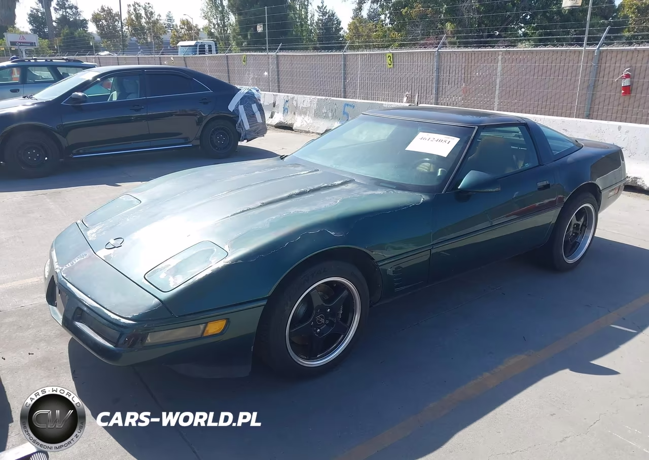 1995 Chevrolet Corvette VIN:1G1YY22P7S5103819 - 2