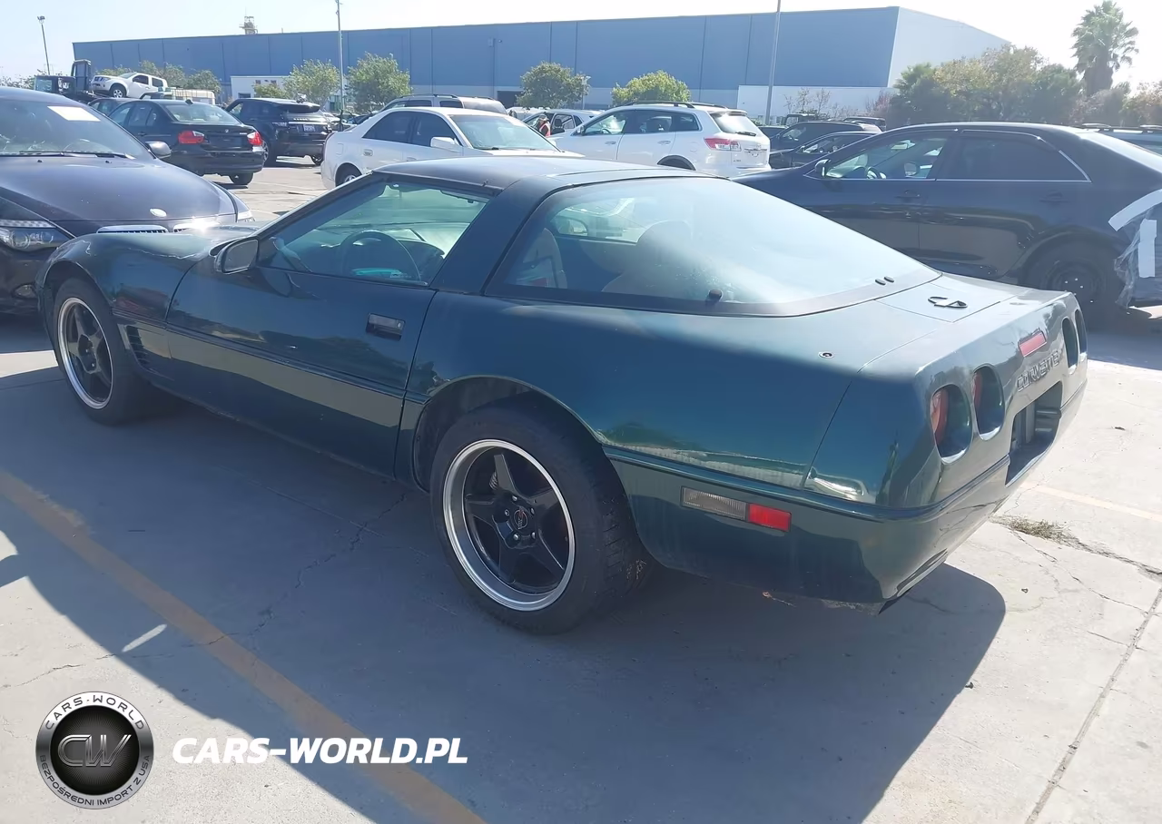 1995 Chevrolet Corvette VIN:1G1YY22P7S5103819 - 3