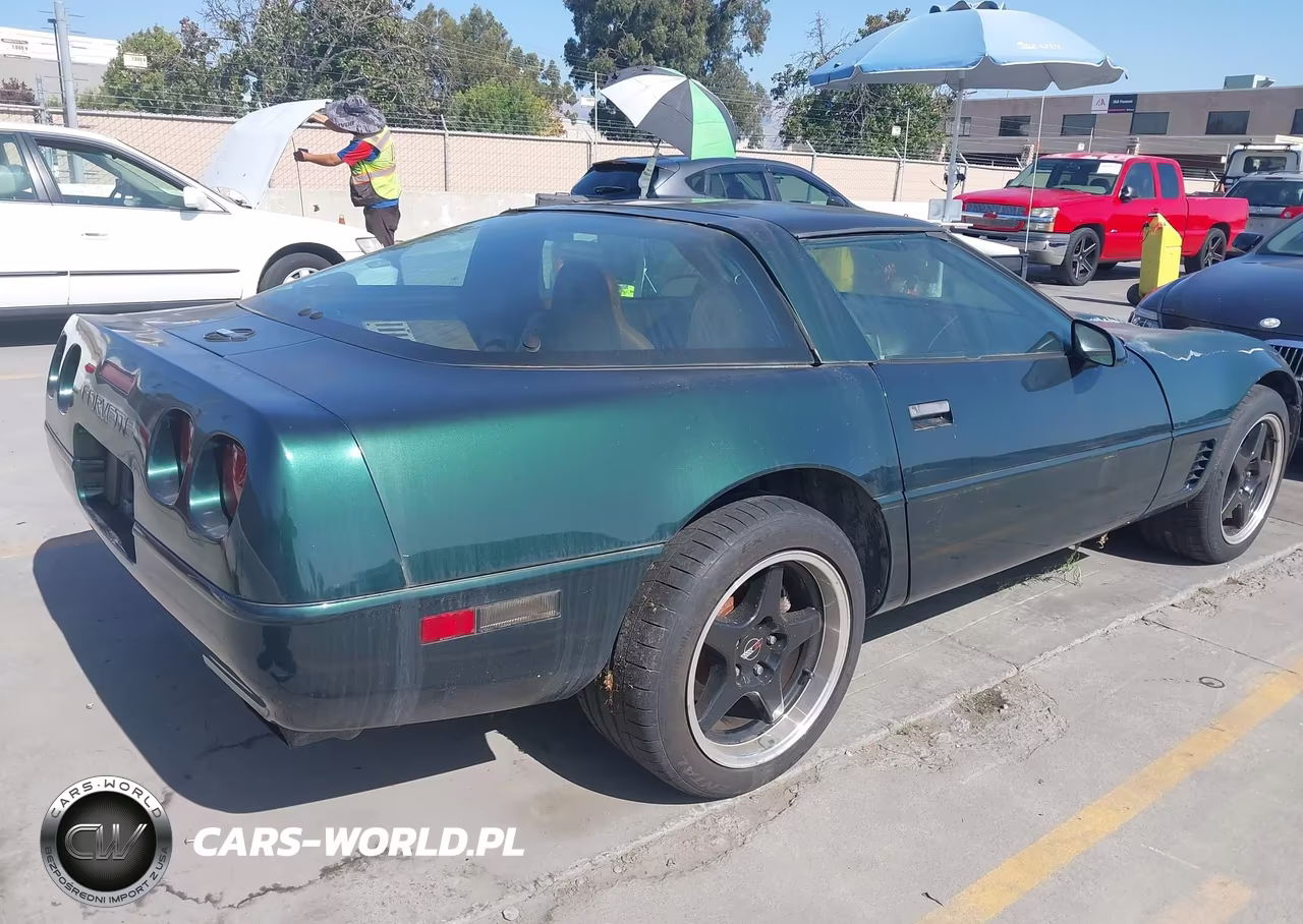1995 Chevrolet Corvette VIN:1G1YY22P7S5103819 - 6
